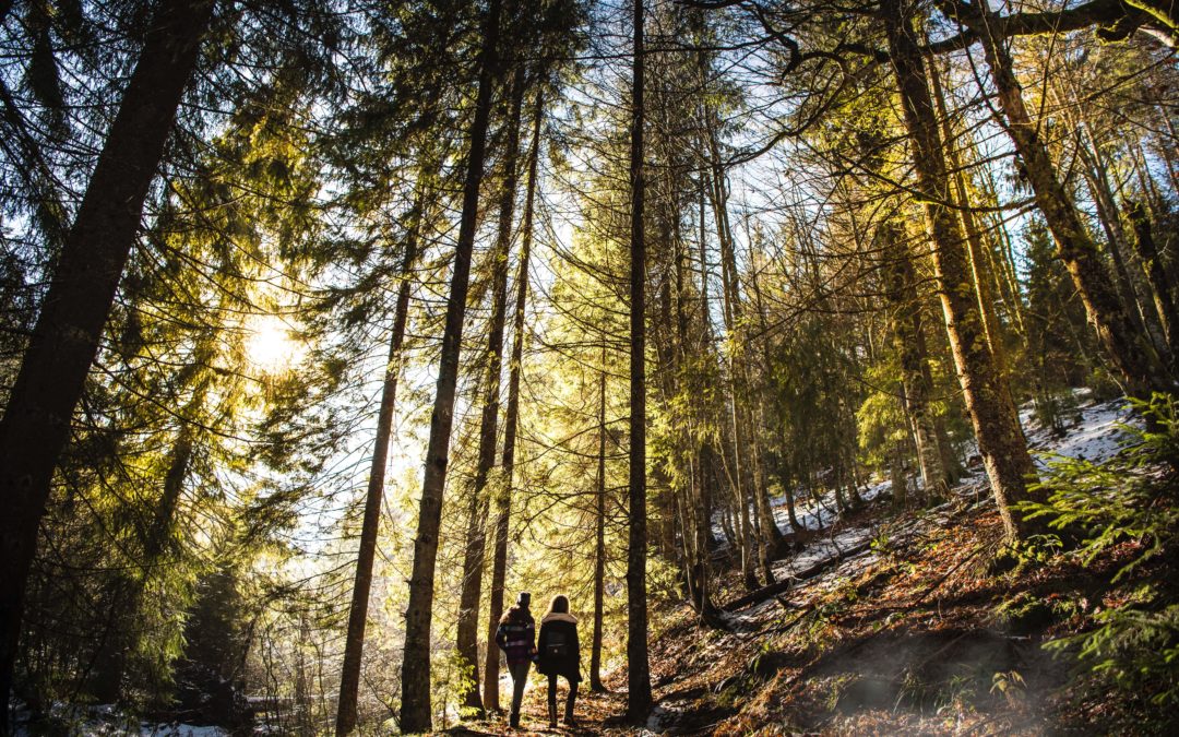 Outdoor Therapy for Addiction Treatment