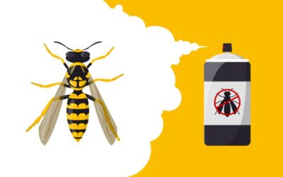 Why This Wasp Hotshot Injection Stings to Death: Dangers of Wasp Hotshot