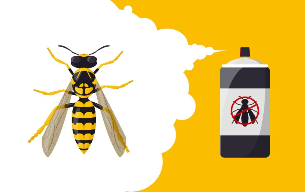Why This Wasp Hotshot Injection Stings to Death: Dangers of Wasp Hotshot